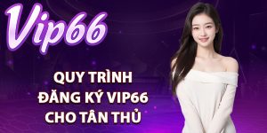 Quy trình đăng ký Vip66 cho tân thủ