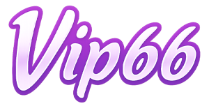 vip66 logo